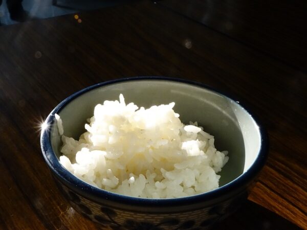 Plain Rice